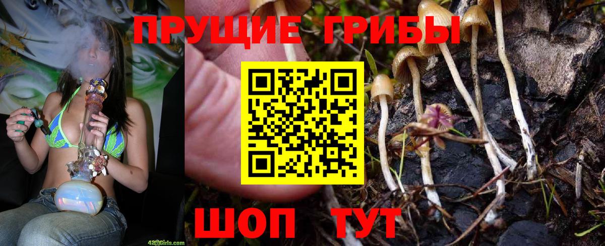 Галлюциногенные грибы ЛСД Краснознаменск