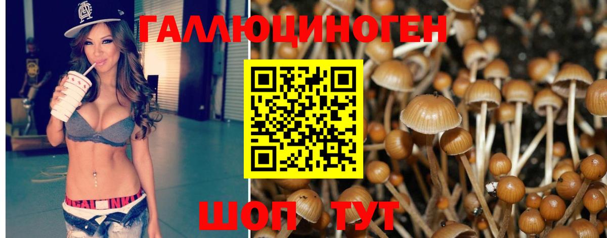Краснознаменск  Псилоцибиновые грибы Psilocybine cubensis  Вход с VPN  Галлюциногенные грибы GOLDEN TEACHER 