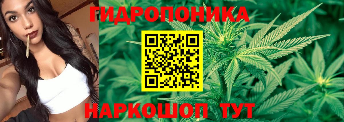 Бошки марихуана ГИДРОПОН  Бошки марихуана семена  Канабис SATIVA & INDICA  Краснознаменск  Бошки Шишки семена  Вход с VPN 